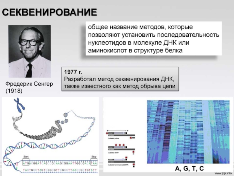 Секвенирование это