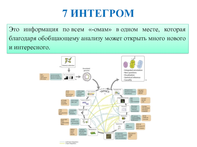 Институт системной биологии. Системная биология. Обобщение информации. Системная биология задачи. Обобщение данных в информатике.