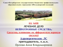 ПЗ №11 ЛЕЧЕБНОЕ ДЕЛО НЕЙРОТРОПНЫЕ СРЕДСТВА. Средства, влияющие на эфферентную