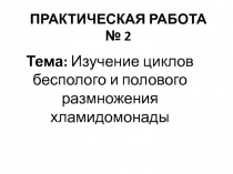 ПРАКТИЧЕСКАЯ РАБОТА № 2