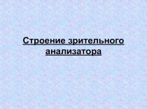 Строение зрительного анализатора