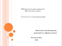 Южный федеральный университет Высшая школа бизнеса Структура туризмоведения