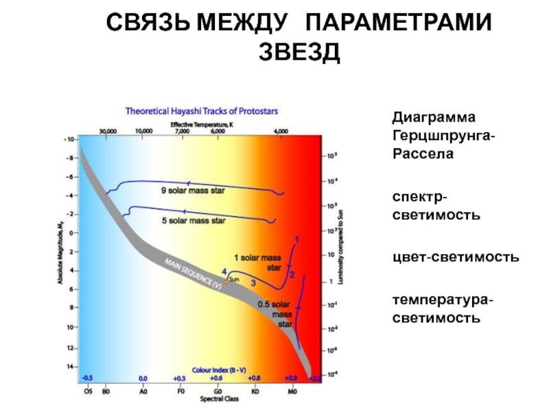 Светимость спектр цвет и температура различных классов звезд диаграмма спектр светимость