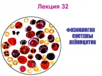 Лекция 32
ФИЗИОЛОГИЯ СИСТЕМЫ ЛЕЙКОЦИТОВ