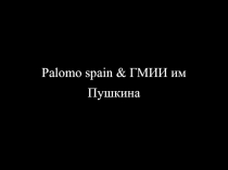 Palomo spain & ГМИИ им Пушкина