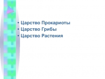 Царство Прокариоты
Царство Грибы
Царство Растения