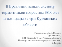 В Бразилии нашли систему термитников возрастом 3800 лет и площадью с три