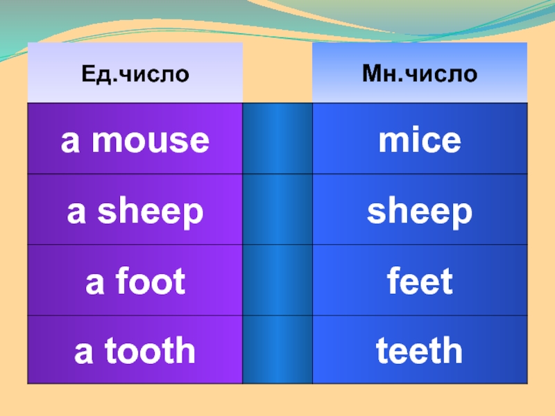 Форма множественного числа mouse. Sheep во множественном числе на английском. Mouse множественное число. Foot во множественном числе на английском. Tooth множественное число.