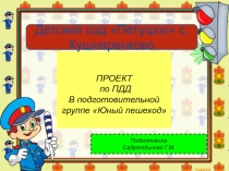 ПРОЕКТ
по ПДД
В подготовительной группе Юный пешеход
Подготовила
Садретдинова