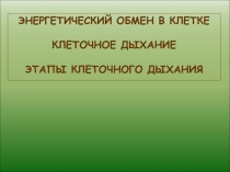 Энергетический обмен в клетке Клеточное дыхание ЭТАПЫ КЛЕТОЧНОГО ДЫХАНИЯ