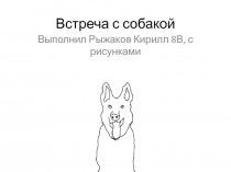 Встреча с собакой