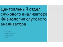 Центральный отдел слухового анализатора. Физиология слухового анализатора