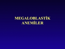 MEGALOBLASTİK ANEMİLER