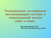 Ультразвуковое исследование желчевыводящей системы и поджелудочной железы собак