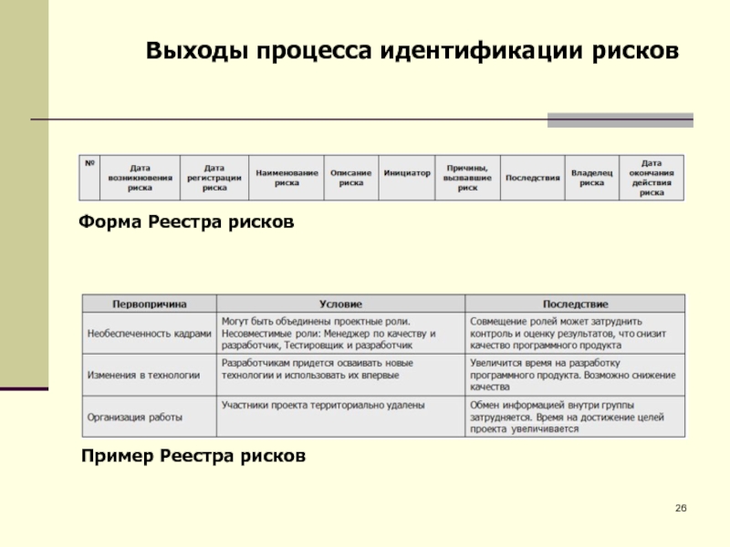 Реестр рисков проекта это