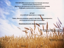 ГОУ ВПО Московский энергетический институт (технический университет) Институт