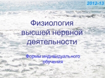 Физиология высшей нервной деятельности
Формы индивидуального обучения
20 12-13