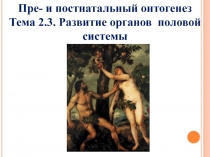 Пре- и постнатальный онтогенез
Тема 2.3. Развитие органов половой системы