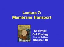 Lecture 7:
Membrane Transport
Essential
Cell Biology
Fourth Edition
Chapter 12