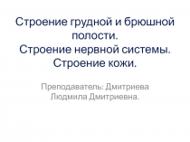 Строение грудной и брюшной полости. Строение нервной системы. Строение кожи