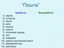 Хребетні Безхребетні
дерма
кутикула
луска
роги
мушля
копита
хітиновий