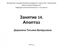 Занятие 1 4. Апоптоз