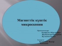 Магниттік күштік микроскопия