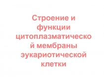 Строение и функции цитоплазматической мембраны эукариотической клетки