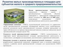 Развитие малых производственных площадок для субъектов малого и среднего