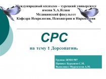 C РС на тему : Дорсопатии