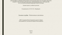 ДЕПАРТАМЕНТ ЗДРАВООХРАНЕНИЯ КУРГАНСКОЙ ОБЛАСТИ ГОСУДАРСТВЕННОЕ БЮДЖЕТНОЕ