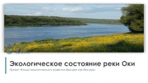 Экологическое состояние реки Оки