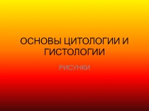ОСНОВЫ ЦИТОЛОГИИ И ГИСТОЛОГИИ