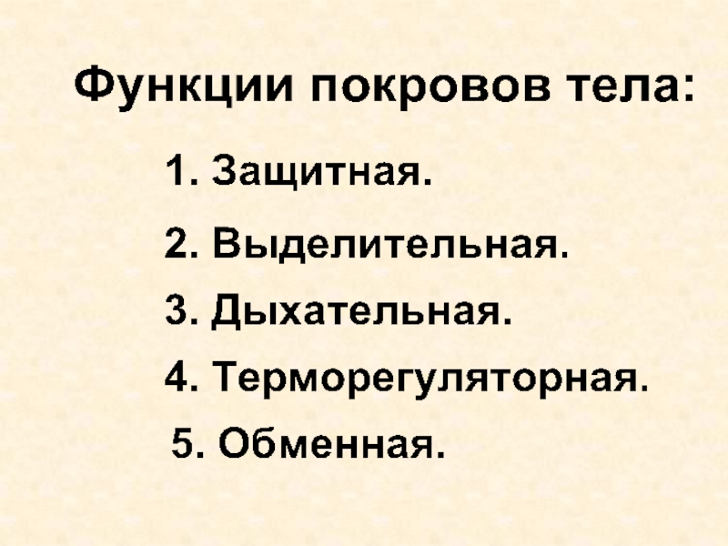 Покровы тела у животных. Функции покровов тела. Нарушения развития покровов тела у человека.