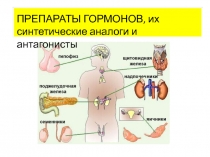 ПРЕПАРАТЫ ГОРМОНОВ, их синтетические аналоги и антагонисты