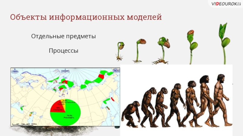 Объекты процессы