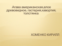 Хоменко Кирилл