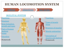 HUMAN LOCOMOTION SYSTEM