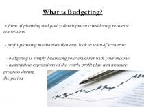 What is Budgeting?