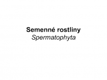 Semenné rostliny Spermatophyta