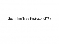 Spanning Tree Protocol (STP)