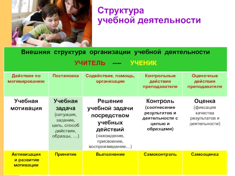 Разделы педагогической психологии. Структура учебной деятельности в педагогической психологии. Школьная педагогика андрогогика геронтогогика относятся к разделу.