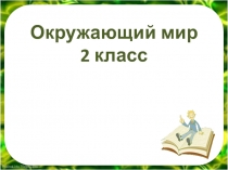 Окружающий мир 2 класс