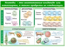 Углеводы – это многоатомные альдегидо- или кетоспирты, а также продукты их