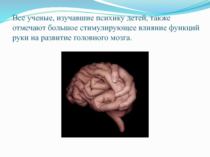 Пальцы рук и мозг. Мелкая моторика и мозг. Моторика рук и мозг. Связь мелкой моторики и мозга. Мелкая моторика и мозг ребенка.