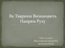 Як Тварини Визначають Напрям Руху