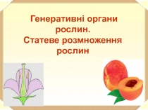 Генеративні органи рослин.
Статеве розмноження рослин