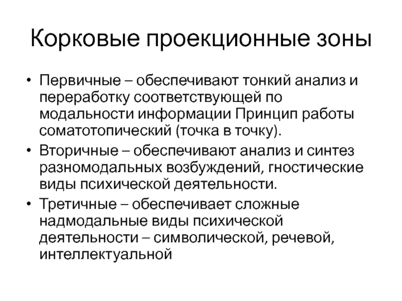 Тонкая разбор. Соматотопический принцип. Анализ и Синтез разномодальных возбуждений. Первичные и вторичные точки исследования. Соматотопический принцип организации характерен для:.