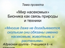 Тема проекта Мир насекомых Бионика как связь природы и техники