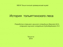 История тольяттинского леса
МБУК Тольяттинский краеведческий музей
Разработка
